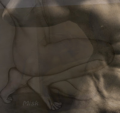 https://misk-adh-poeta.blogspot.com.ee