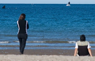 Avistaje de ballenas en Península Valdés