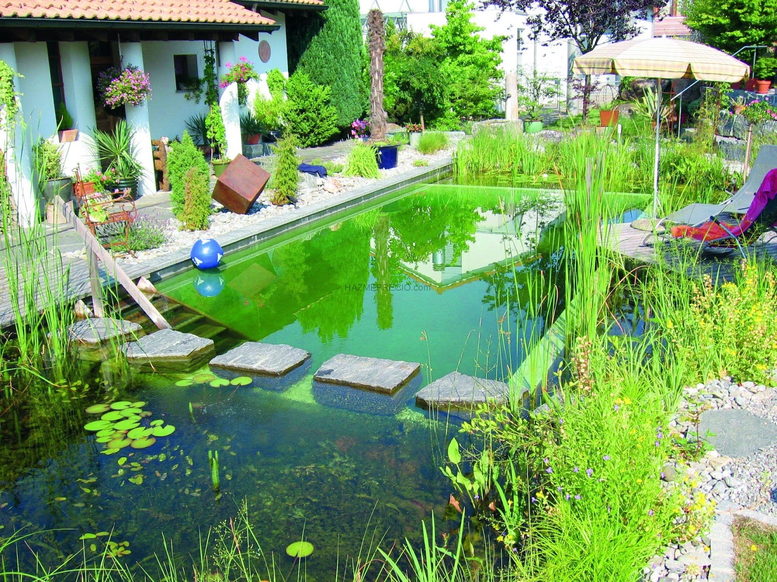 como vern en las imgenes que les he dejado a lo largo del post hay diferentes maneras de armar estas piscinas algunas son ms elegantes - Piscinas Ecologicas como vern en las imgenes que les he dejado a lo largo del post hay diferentes maneras de armar estas piscinas algunas son ms elegantes - Piscinas Ecologicas