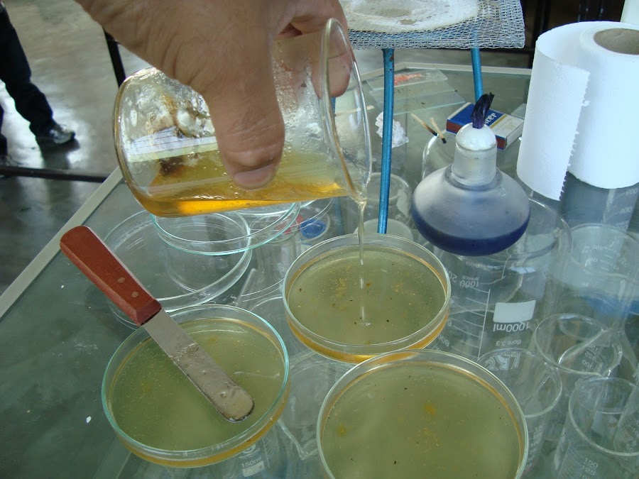 Resultado de imagen para guia practica de microbiologia en agua y alimentos