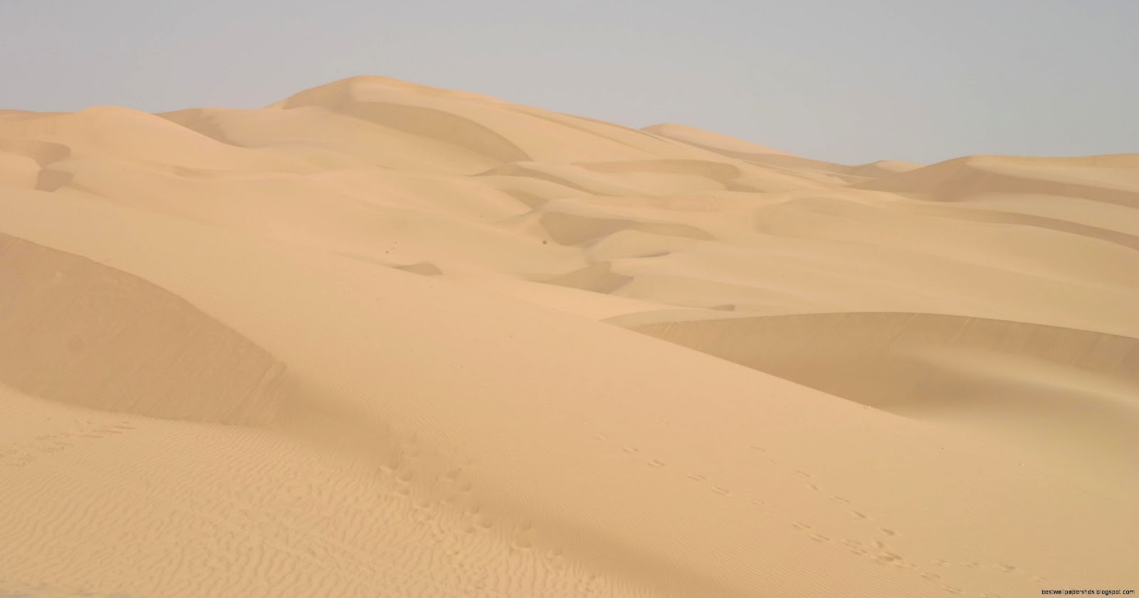 Imperial Sand Dunes