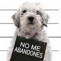 No me abandones