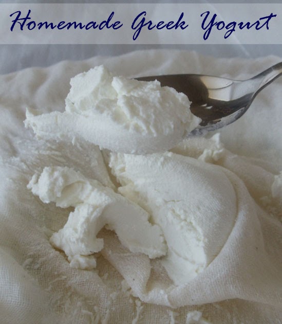 Spusht How to Make Greek Yogurt at Home
