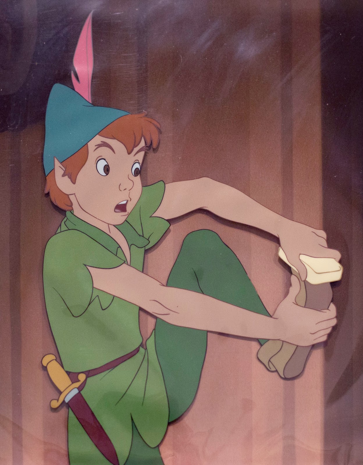 Deja View Wendy and Peter's Shadow