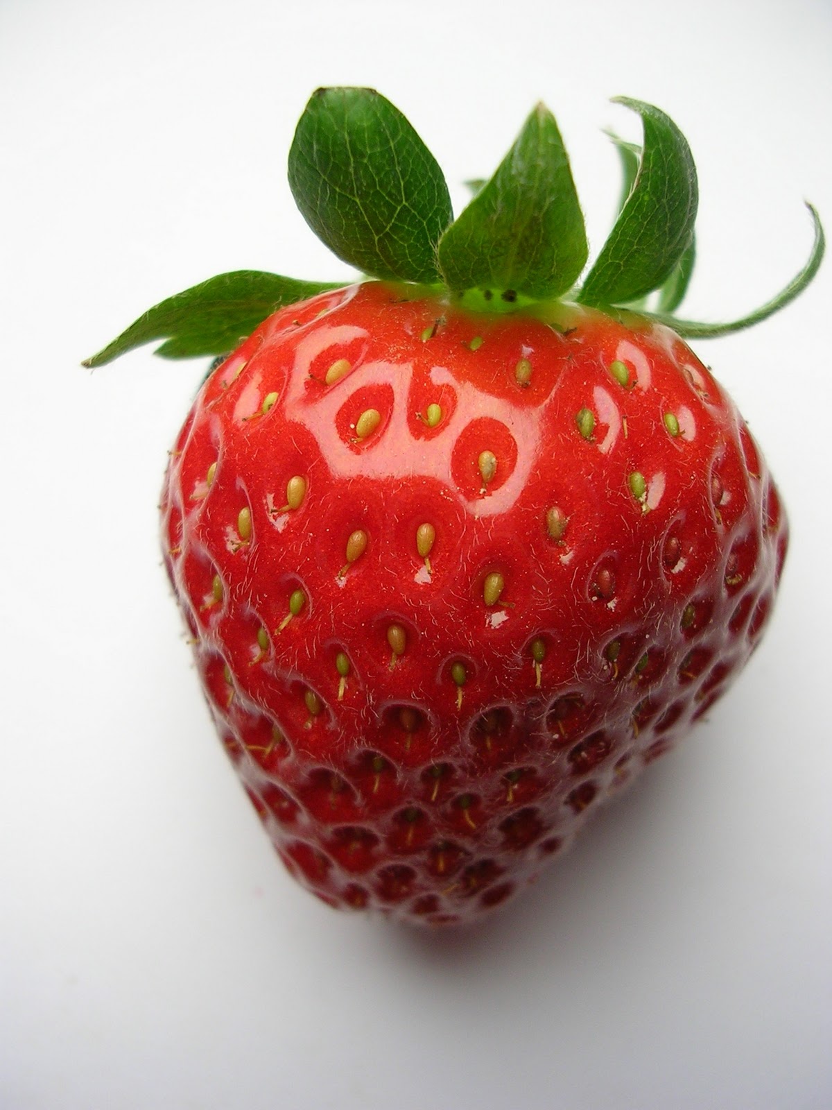 Bilder-Bibliothek: Erdbeeren