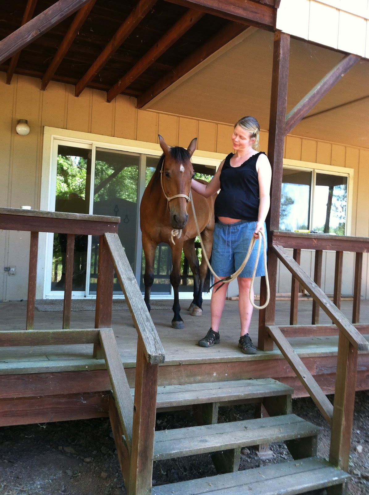 Discovering Ranch Life Fun things to do with your horse when you´re