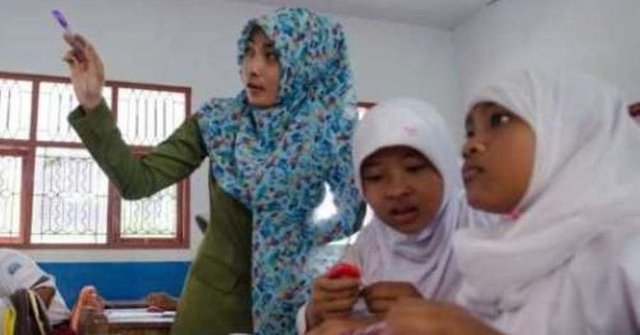 Pemerintah Memberikan Insentif Dan Tunjangan Bagi Guru Non Pns Sekolahdasar Net