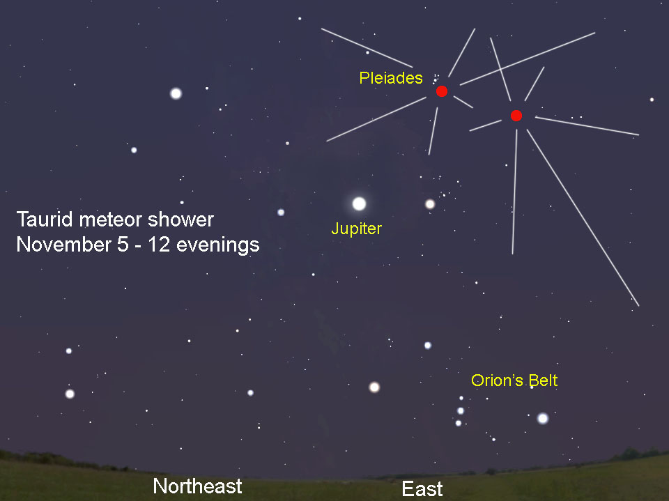 RTU ASTRONOMY SOCIETY Annual Meteor Shower