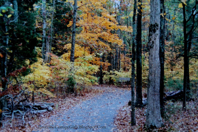 Beautiful paved hiking trails at Long Hunter State Park in Tennessee by RosevineCottageGirls.com