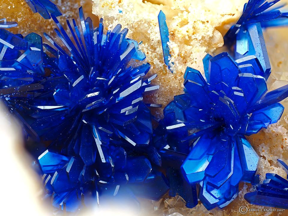 Azurite Crystal Flowers - Geology In