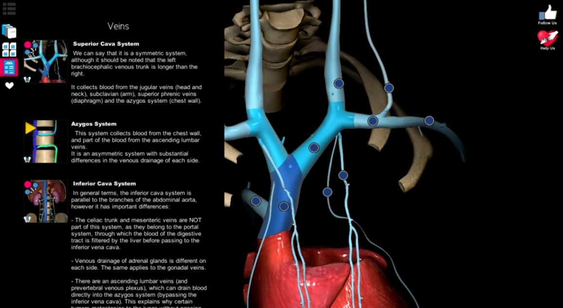 Anatomy Learning   3D Atlas   Android Apps on Google Play