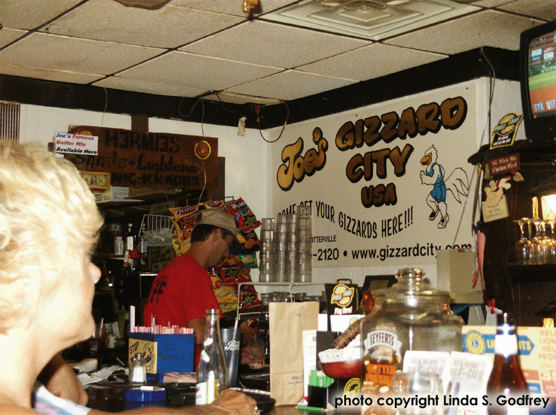 All Michigan The Great Lake State! Joe's Gizzard City in Potterville