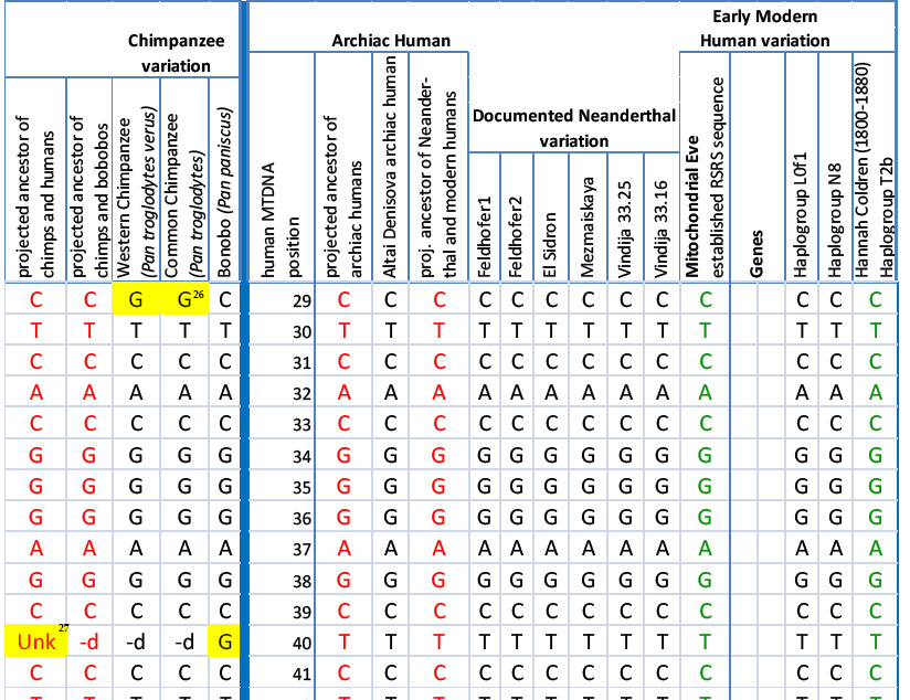 dna sequence chart dna sequence chart