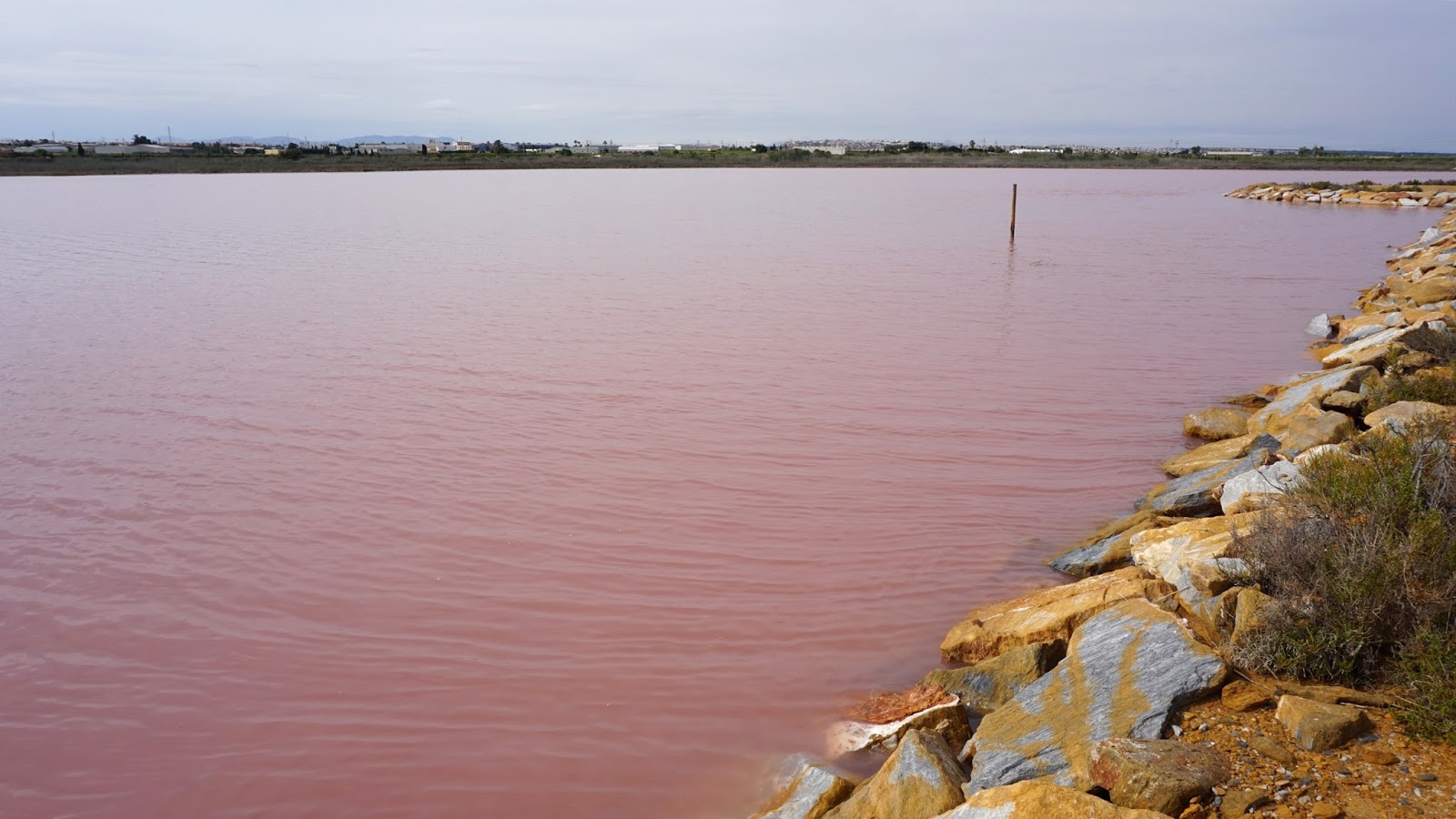 Las Salinas, różowe jezioro Hiszpania, południowa Hiszpania, Torrevieja