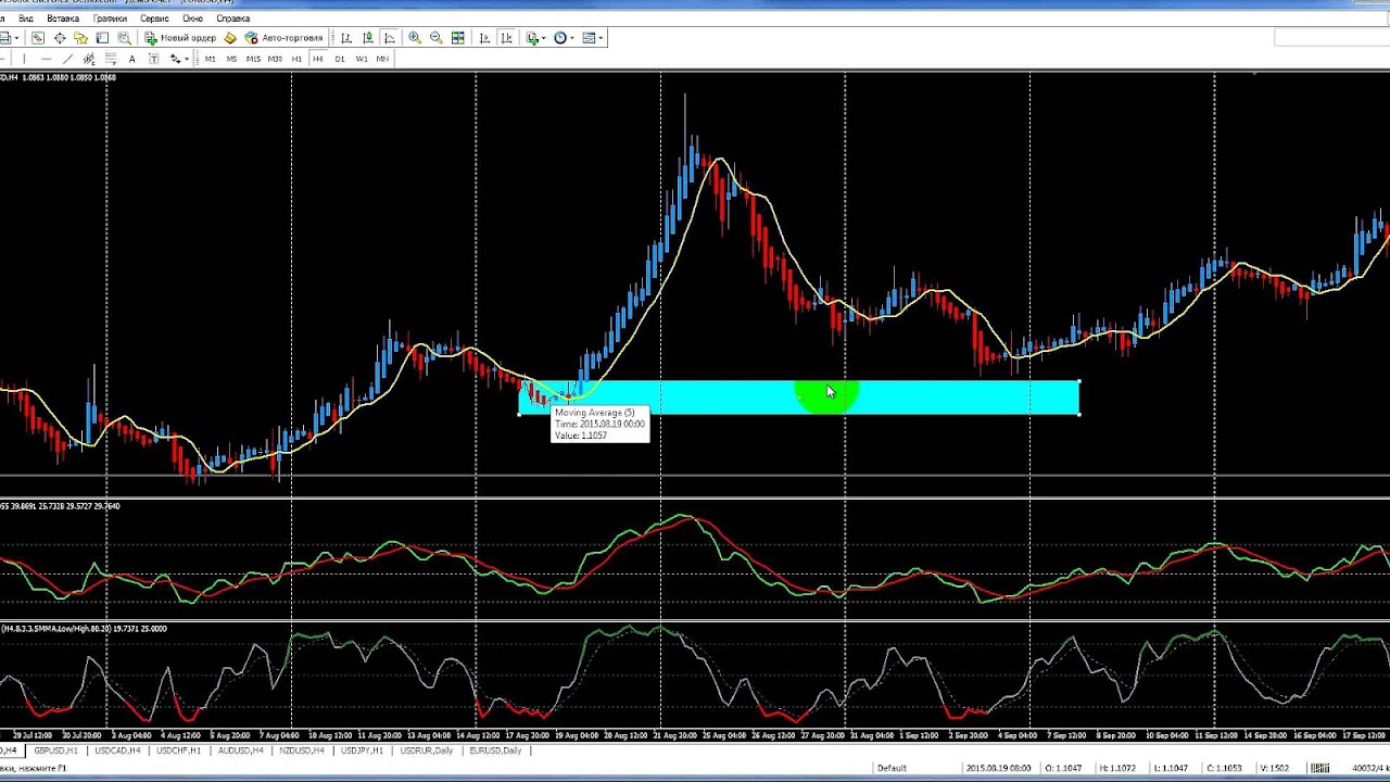 Dynamic trader software, free download
