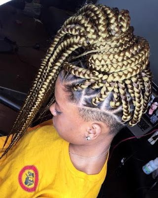 21 Amazing Braids Hairstyles For African American With Shaved