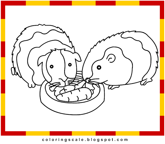 Coloring Pages Printable for kids: Guinea Pig Coloring pages for kids