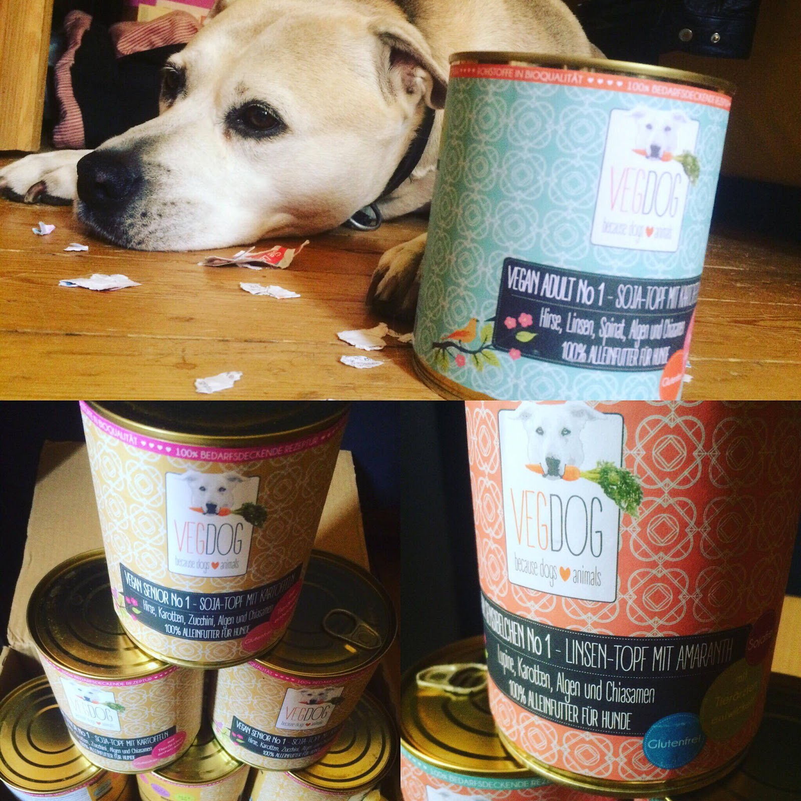 Vongestern Blog Psycho Test Sms Typ 2004