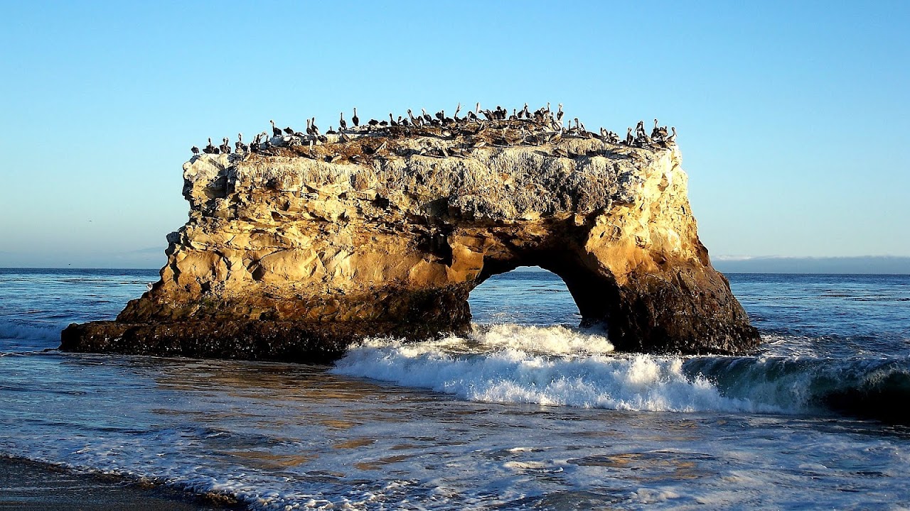 Natural Bridges State Beach Park Trip to Park