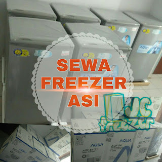 sewa freezer asi tangerang