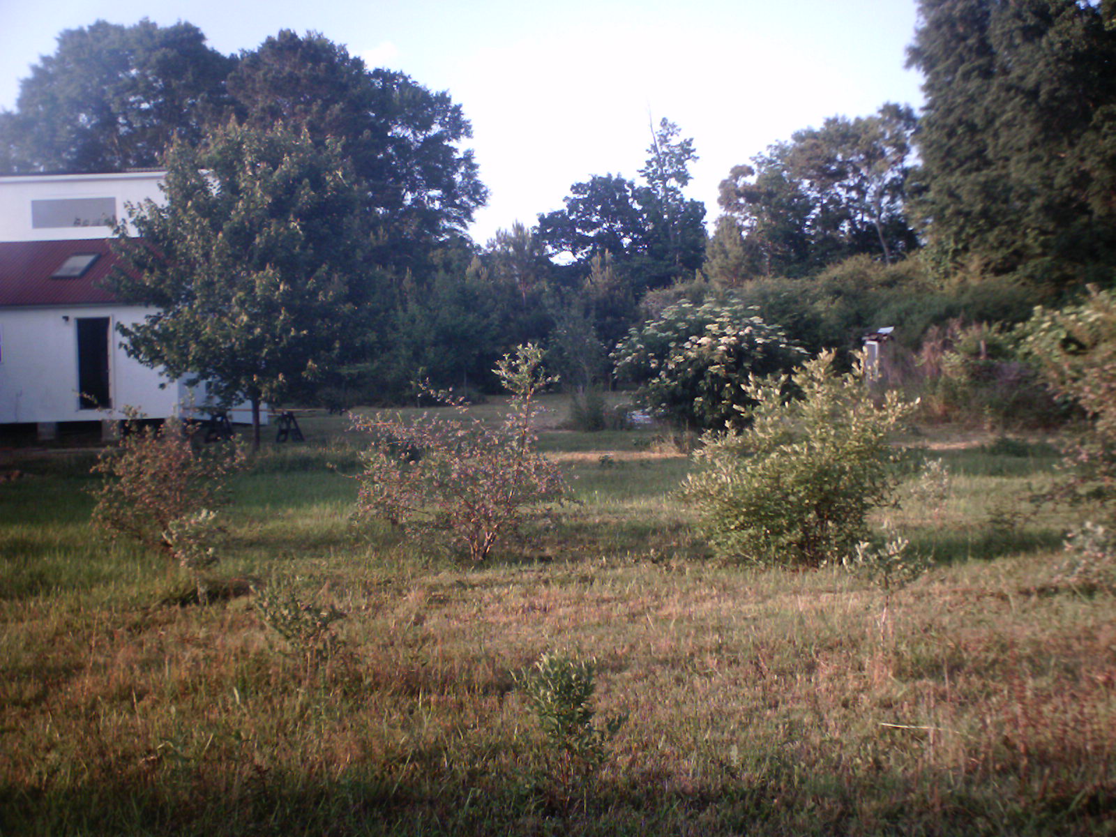 Blueberry Peace Farm Estwing Sure Strike & the BPF