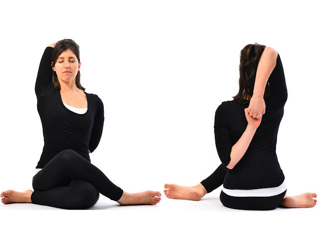 Mỗi ngày một tư thế Yoga || 54 Tư thế Mặt Bò Mỗi ngày một tư thế Yoga || 54 Tư thế Mặt Bò