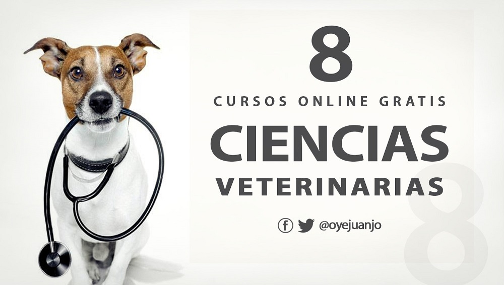 8 cursos online gratis de Ciencias Veterinarias y Animales