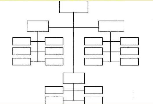 bentuk bagan organisasi related keywords \u0026 suggestions bentuk novia risdiani 09pengertian struktur organisasi