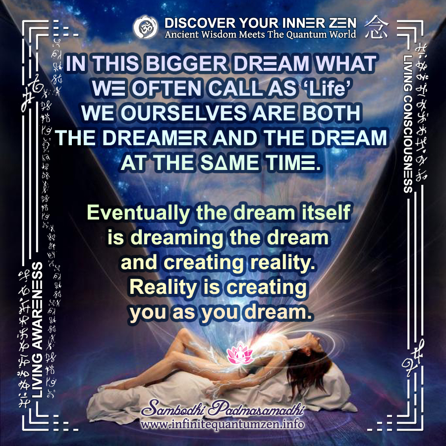 In this bigger dream what we often call as life we ourselves are both the dreamer and the dream at the same time - Infinite Quantum Zen, Success Life Quotes