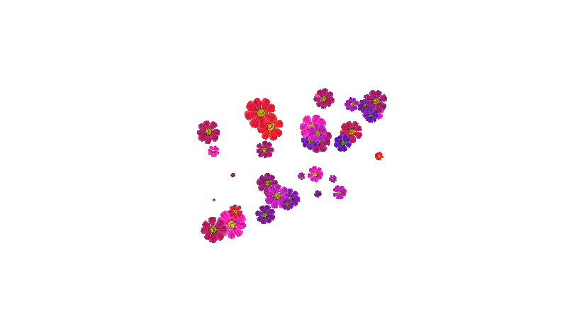 ??????????????? ???? ???????????? ?????????? ?????????????? ???????