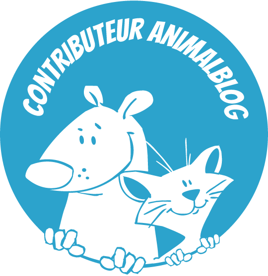 Je suis partenaire contributeur sur Animalbox
