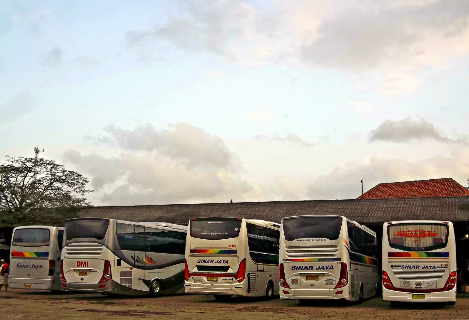 Profil Bus BGS Trans Dan Satria Muda PLAT R