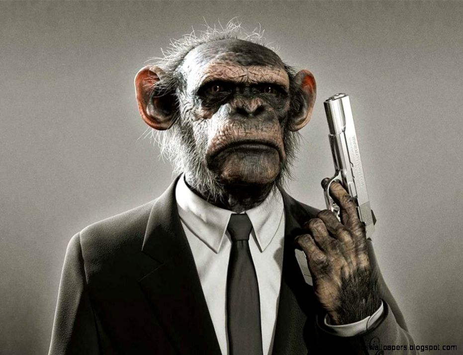 Monkey wallpapers 50902 Animals Photography Wallpapers