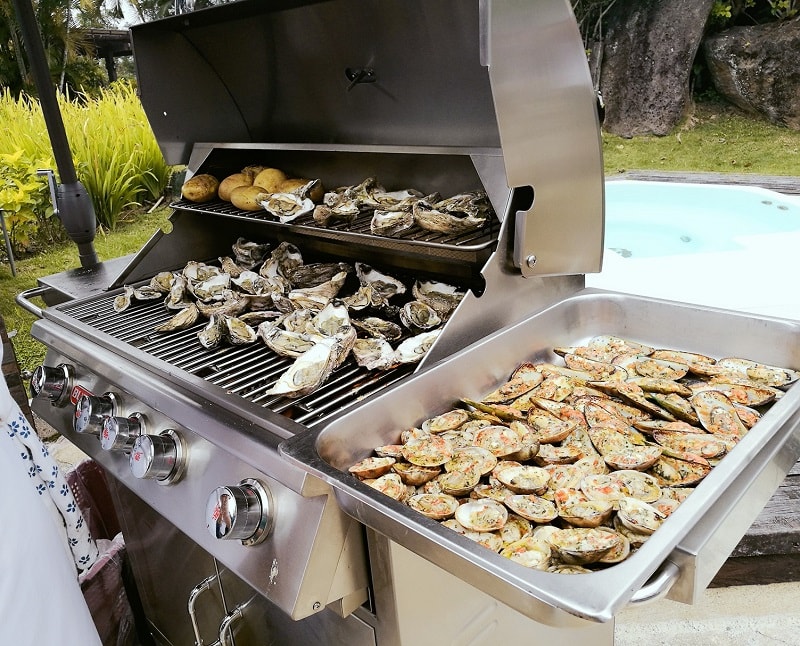 How to Enjoy the Highland Summer with BULL Grills For Urban Women
