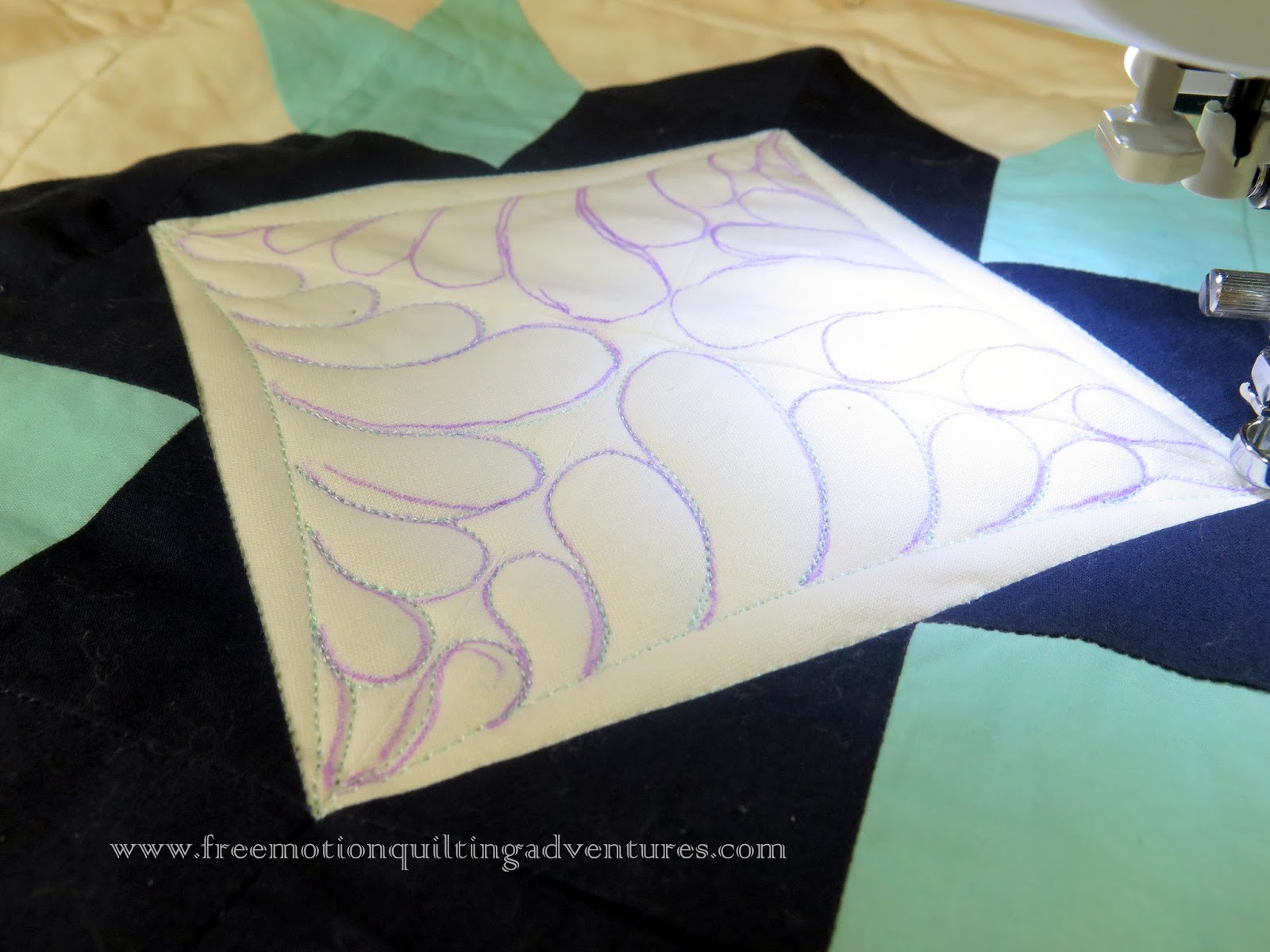 Amy's Free Motion Quilting Adventures Quilting with Rulers Feathers
