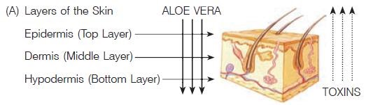 Forever Living: Aloe Vera, Nutrition, Drinks, Cosmetics: Aloe Vera- How