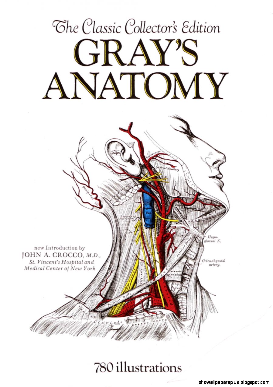 Grays Anatomy  Science Book a Day