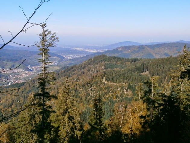 Der Schwarzwald und seine Natur Hohe Schaar ein Felsen und