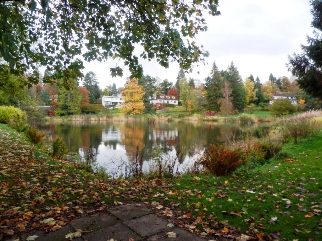 My Daily Walk Ochlochy Park, Dunblane