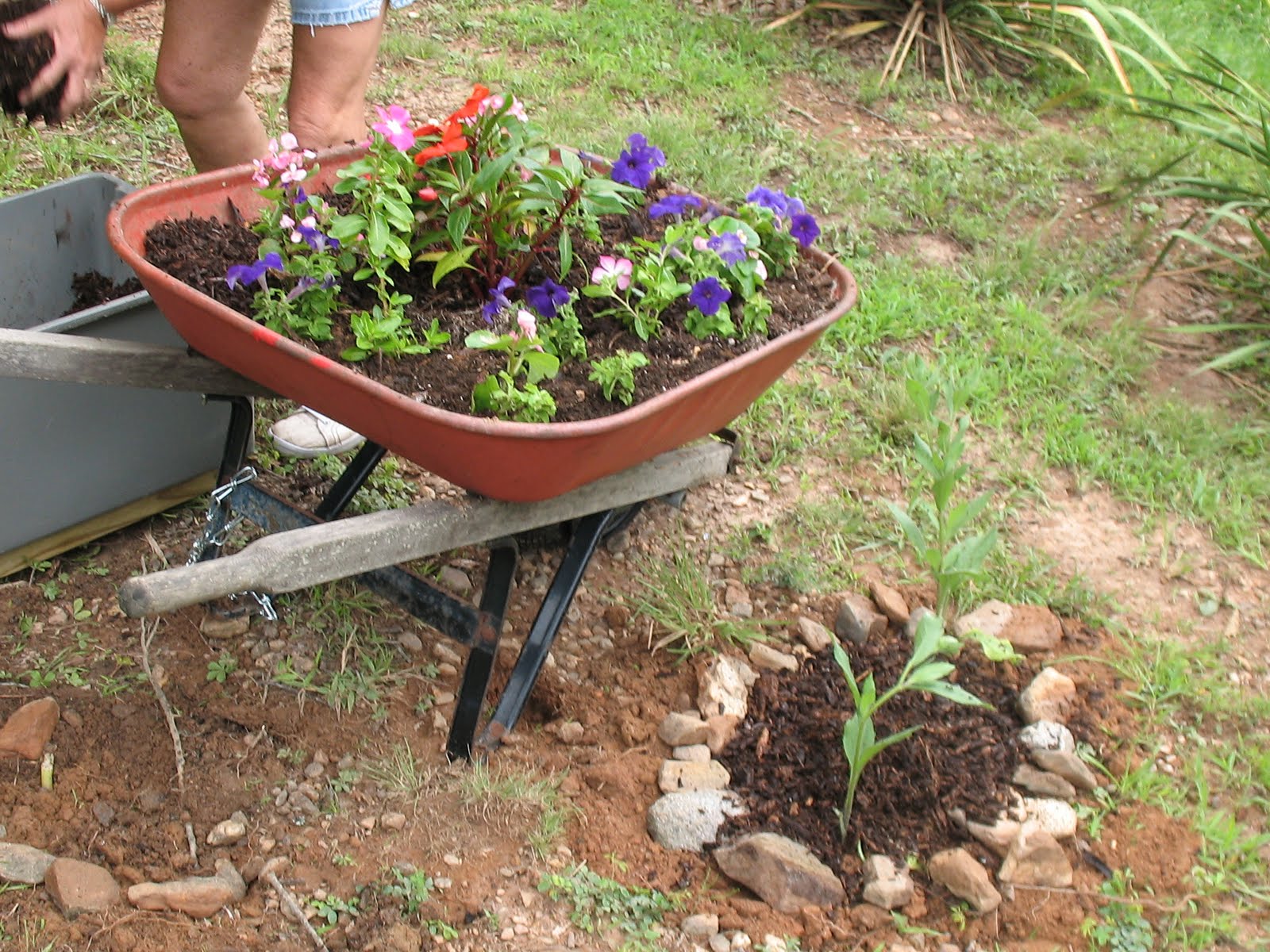 Hall of Flowers: Mailbox Wheelbarrow Flowers