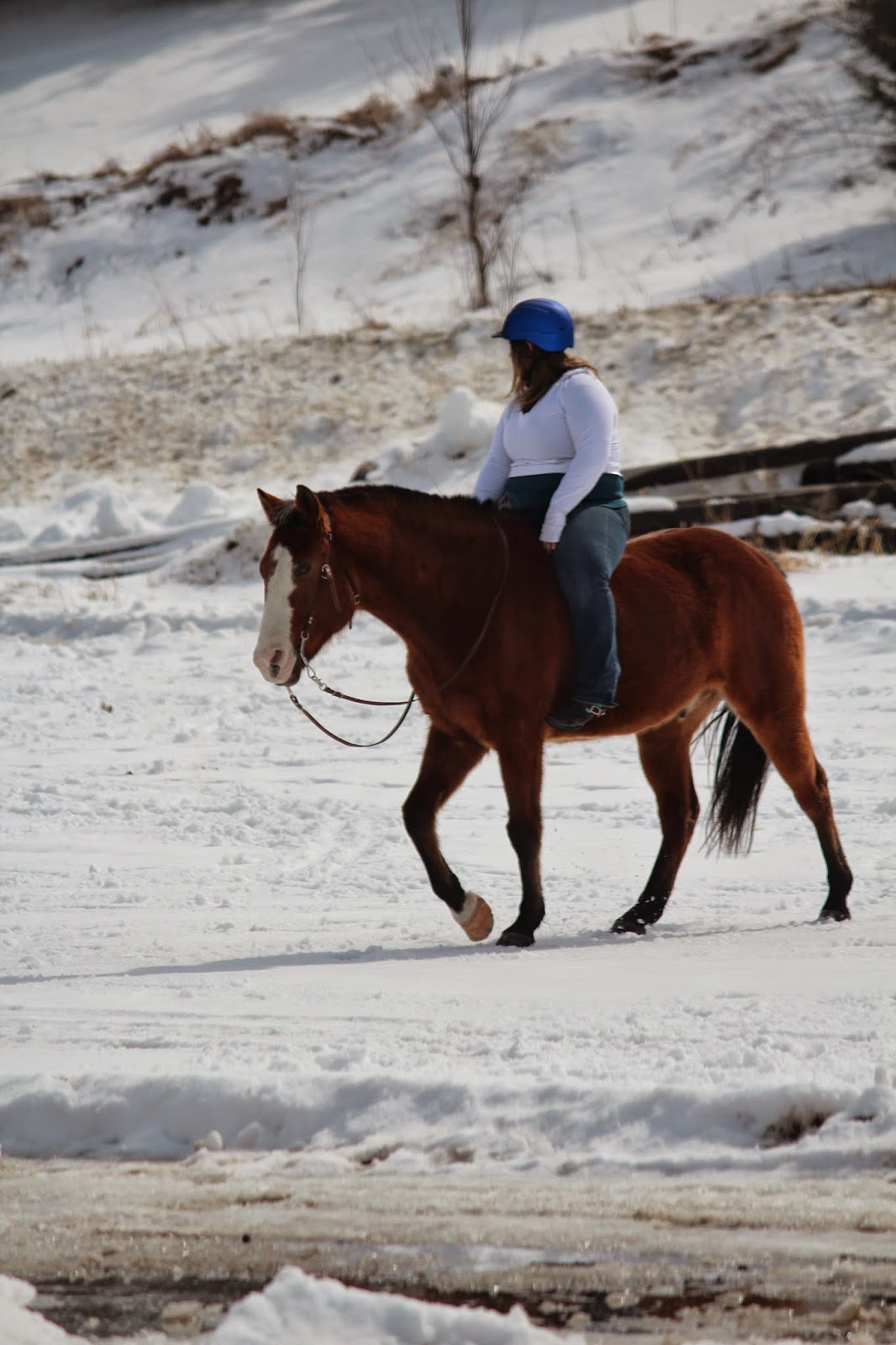 Pure Horse: Winter riding pictures....