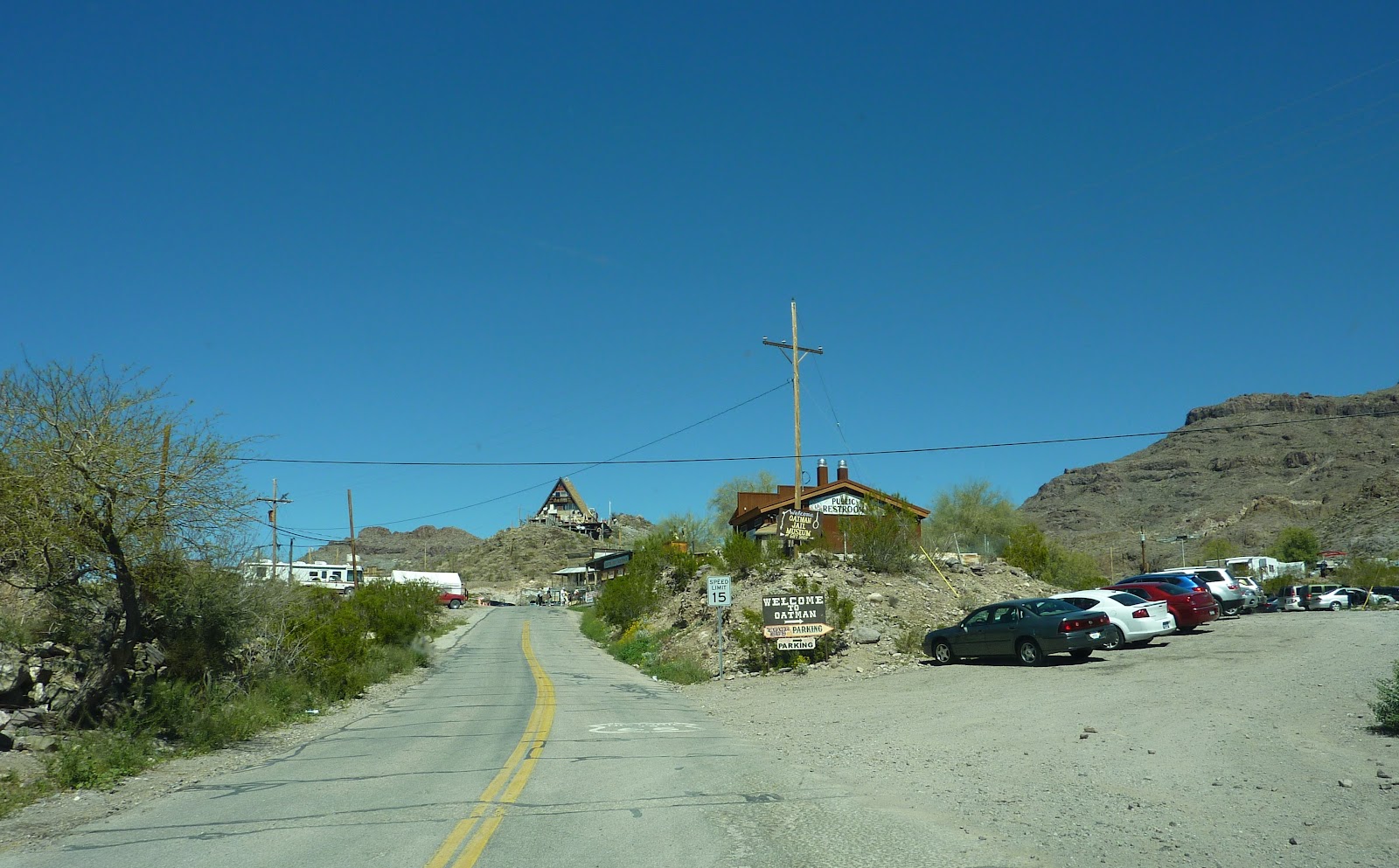 Road Runner Oatman Burros & Needles, CA