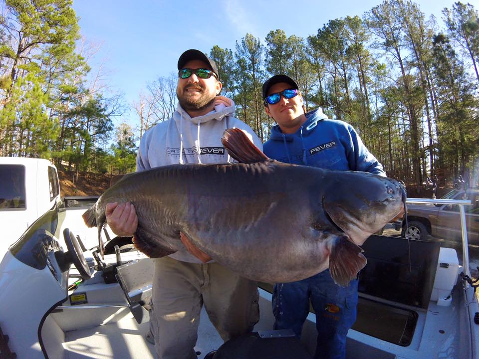 International Fishing News US two monster record blue catfish in North Carolina