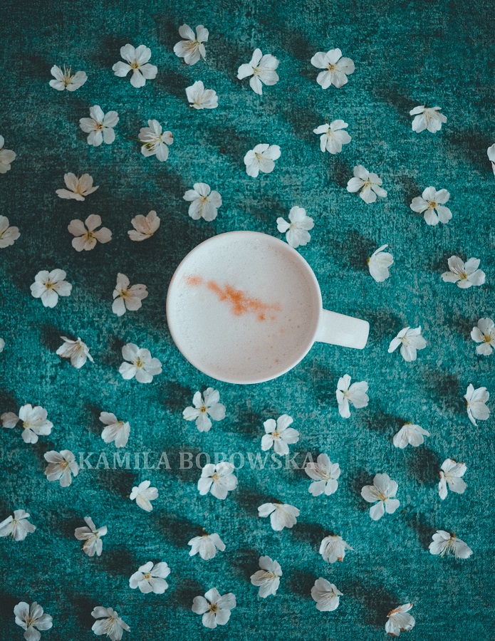 Kamila%2BBorowska%2B-%2Bsakura%2B%2B%252