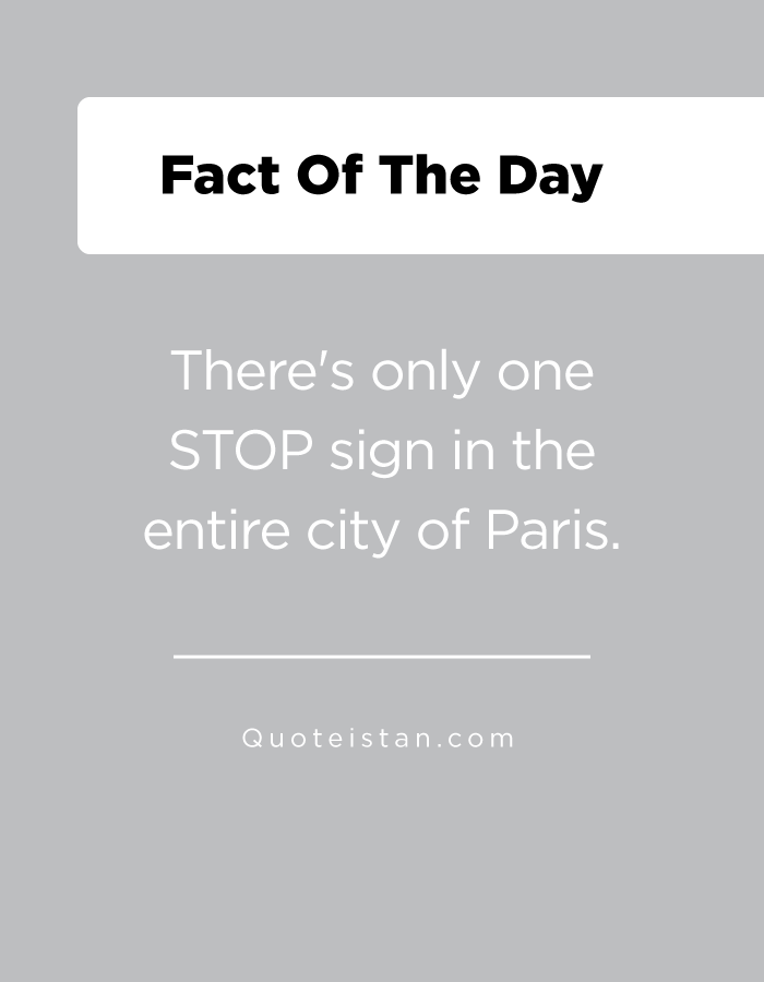 There's only one STOP sign in the entire city of Paris.