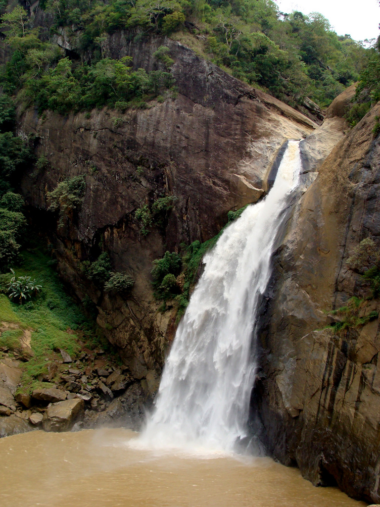 Dunhinda alla picture