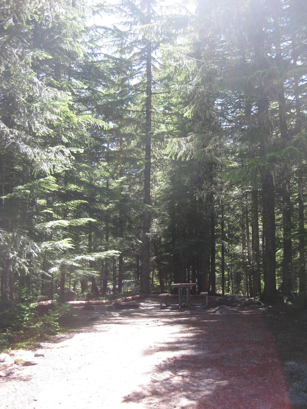 Cougar Rock Campground, Mt. Rainier National Park, Ashford, Washington