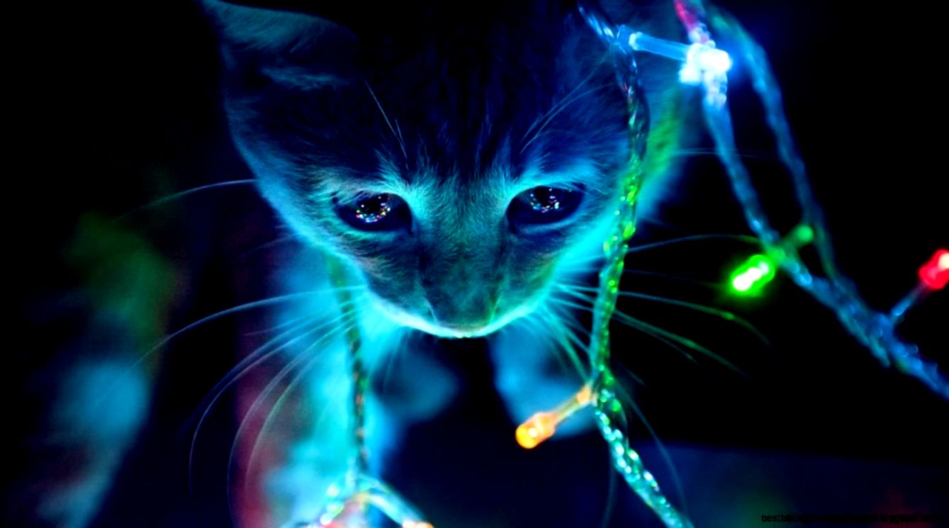 Neon Christmas Wallpapers For Desktop  Best Background Wallpaper