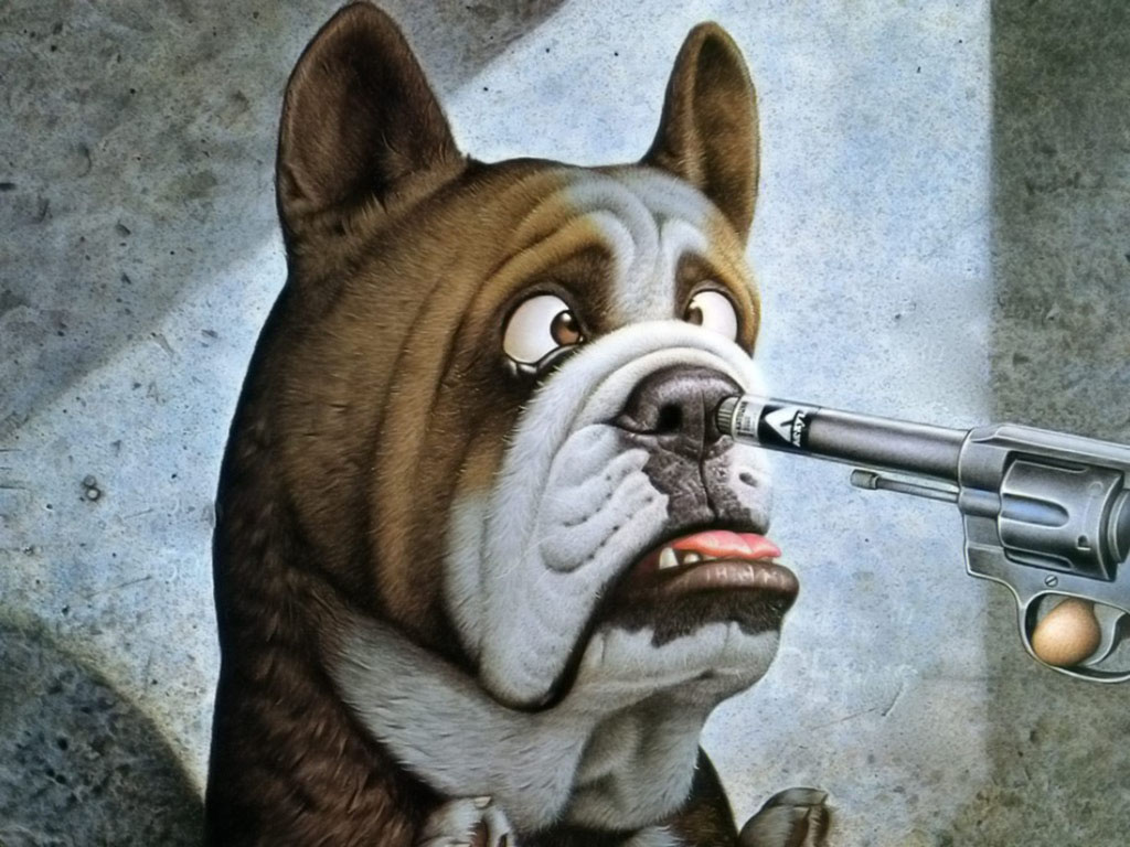 wallpaper: Funny Wallpapers