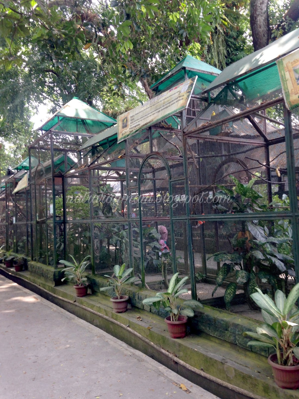 Wisata Taman Hewan Pematang Siantar (Siantar Zoo) / Natrarahmani